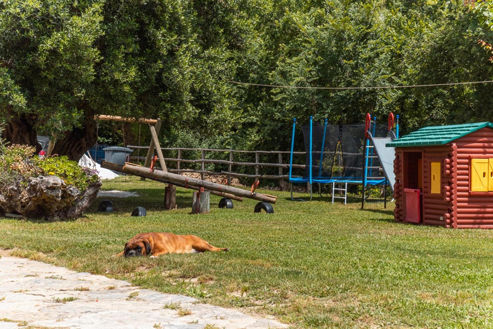 Agriturismo San Basilio Salento Exteriér fotografie