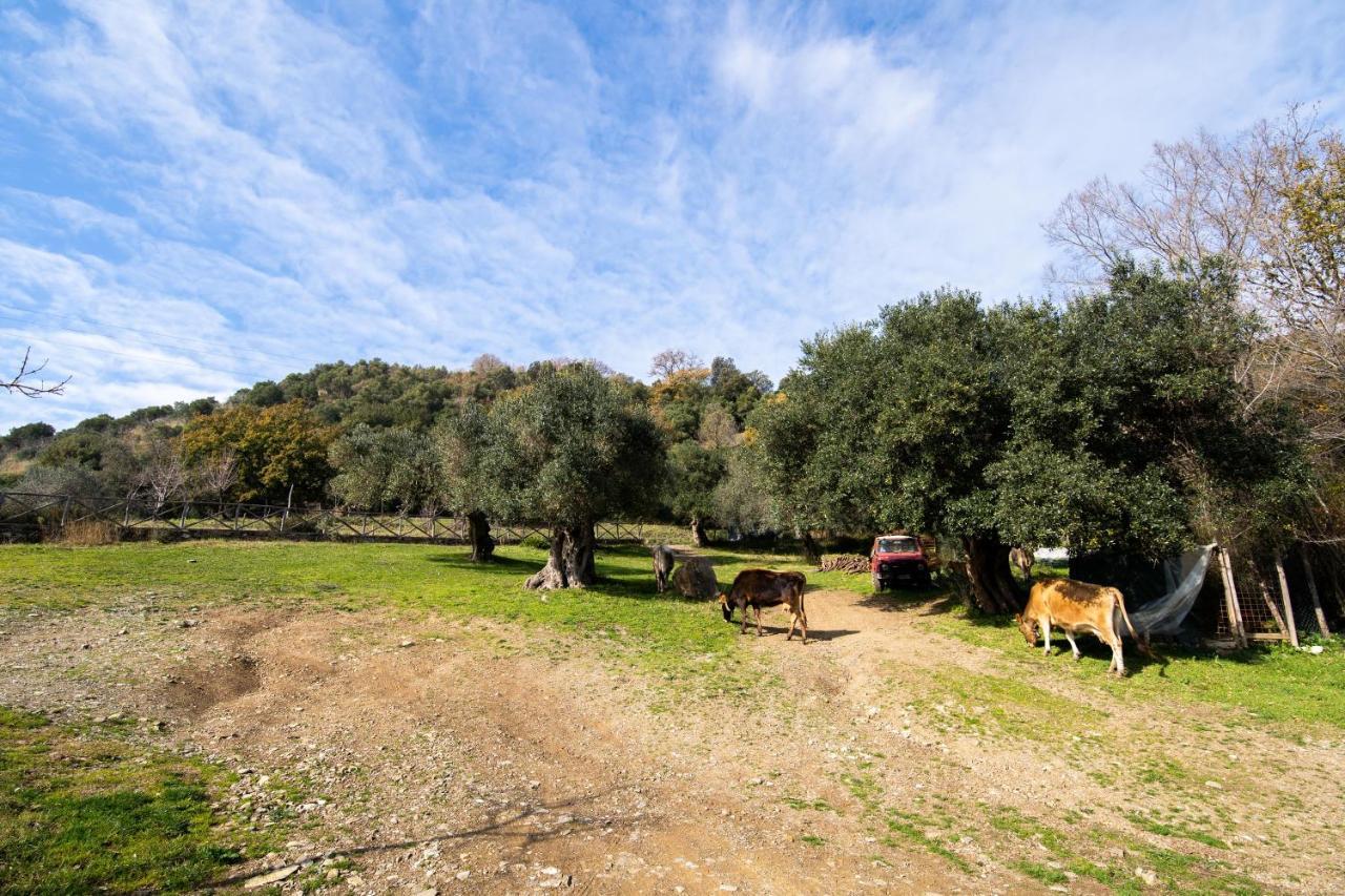 Agriturismo San Basilio Salento Exteriér fotografie